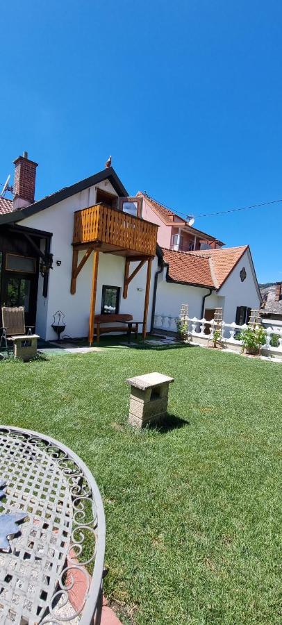 Innenstadtgarten-Wohnung Wolfsberg Exteriér fotografie