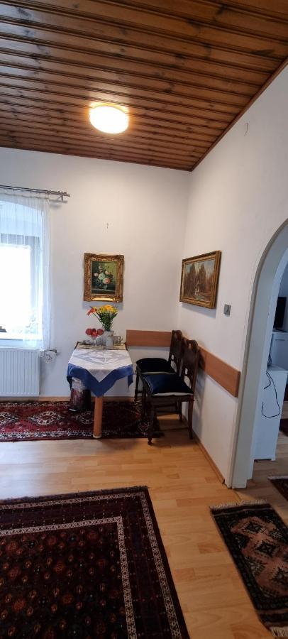 Innenstadtgarten-Wohnung Wolfsberg Exteriér fotografie
